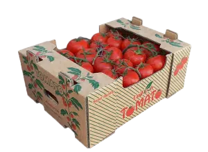 جعبه گوجه