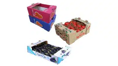 جعبه میوه صادراتی